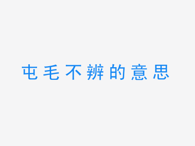 成语屯毛不辨的意思