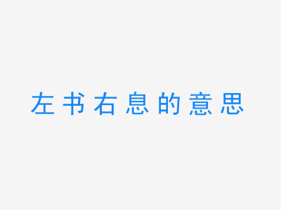 成语左书右息的意思