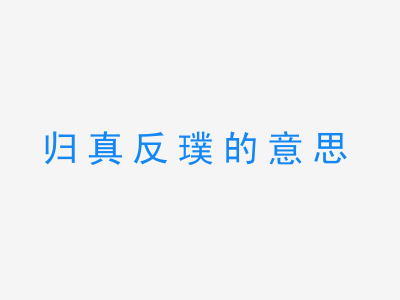 成语归真反璞的意思