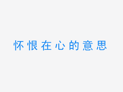 成语怀恨在心的意思