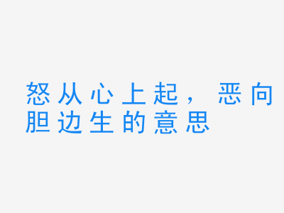 成语怒从心上起，恶向胆边生的意思