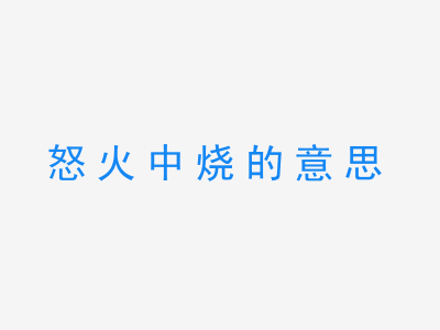 成语怒火中烧的意思