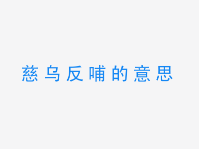 成语慈乌反哺的意思