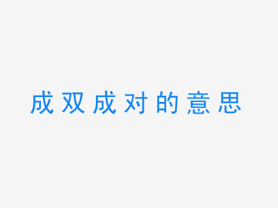 成语成双成对的意思