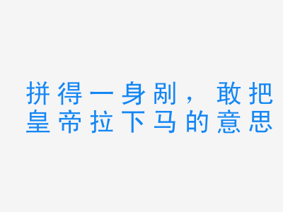 成语拼得一身剐，敢把皇帝拉下马的意思