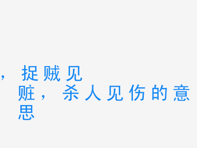 成语捉奸见双，捉贼见赃，杀人见伤的意思