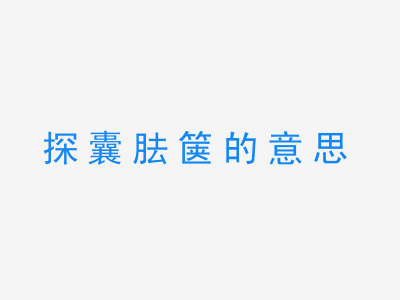 成语探囊胠箧的意思