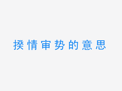 成语揆情审势的意思