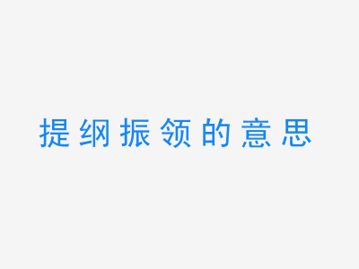 成语提纲振领的意思