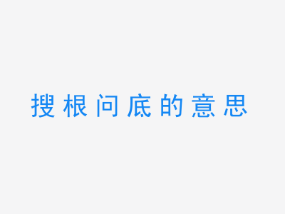 成语搜根问底的意思