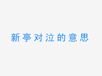 成语新亭对泣的意思