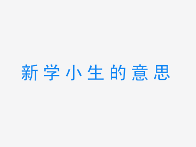 成语新学小生的意思