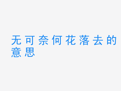 成语无可奈何花落去的意思