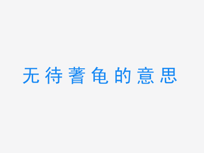 成语无待蓍龟的意思