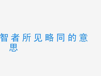 成语智者所见略同的意思