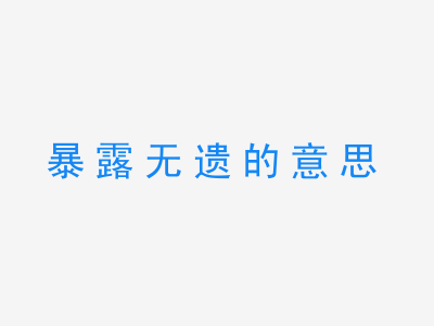 成语暴露无遗的意思