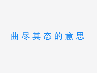 成语曲尽其态的意思