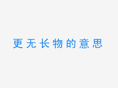 成语更无长物的意思