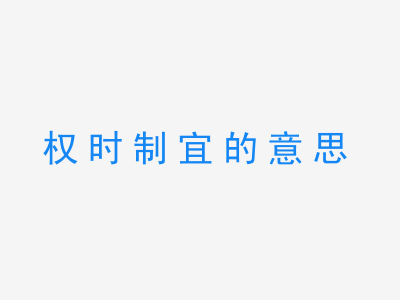 成语权时制宜的意思