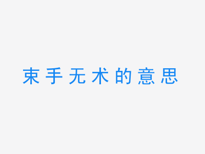 成语束手无术的意思