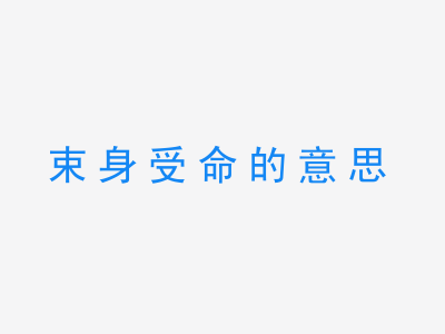 成语束身受命的意思