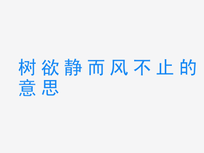 成语树欲静而风不止的意思