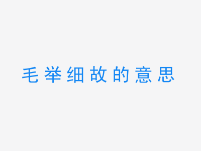 成语毛举细故的意思