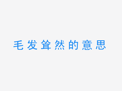 成语毛发耸然的意思