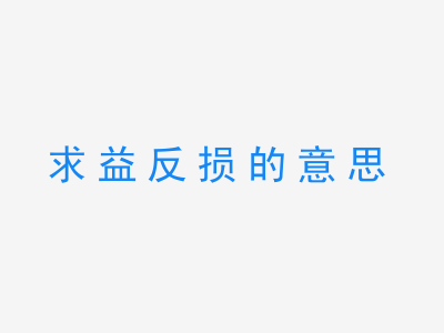 成语求益反损的意思