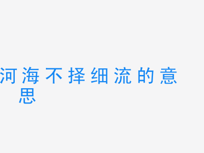 成语河海不择细流的意思