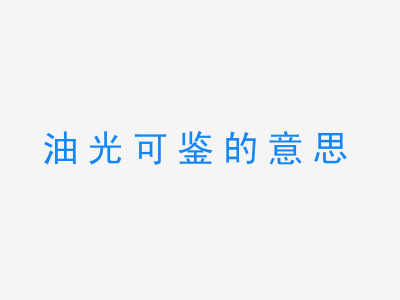 成语油光可鉴的意思