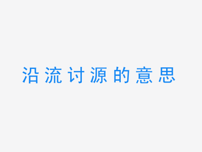 成语沿流讨源的意思