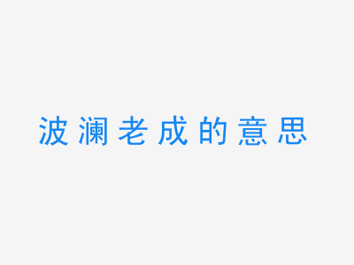 成语波澜老成的意思