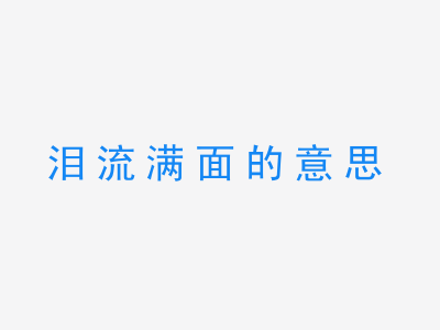 成语泪流满面的意思