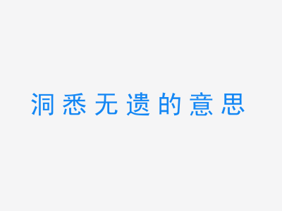 成语洞悉无遗的意思