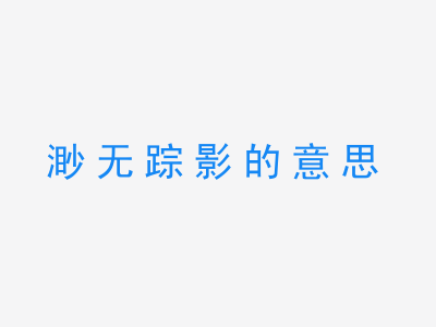 成语渺无踪影的意思