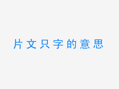 成语片文只字的意思