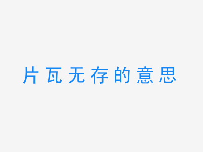 成语片瓦无存的意思