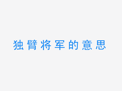 成语独臂将军的意思