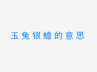 成语玉兔银蟾的意思