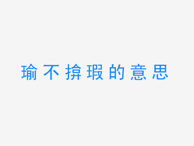 成语瑜不揜瑕的意思