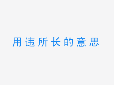 成语用违所长的意思