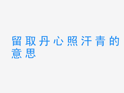 成语留取丹心照汗青的意思