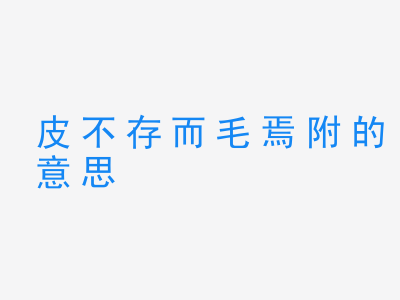 成语皮不存而毛焉附的意思