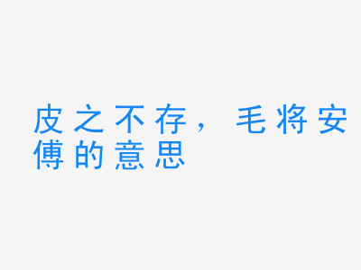 成语皮之不存，毛将安傅的意思