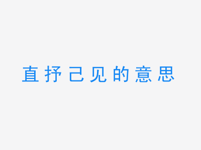 成语直抒己见的意思