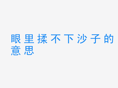 成语眼里揉不下沙子的意思