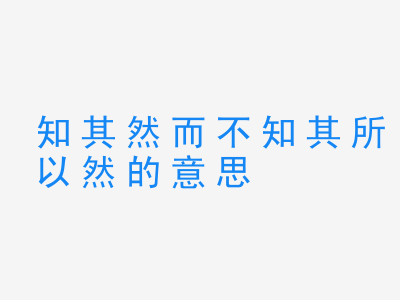 成语知其然而不知其所以然的意思