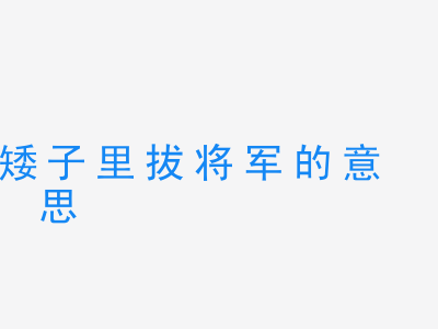 成语矮子里拔将军的意思