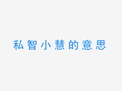 成语私智小慧的意思